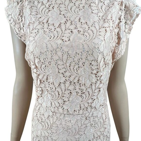 Zara Basic Collection Pink Lace Midi Dress Sleeveless Ruffle Trim Size M (040) - Picture 2 of 16